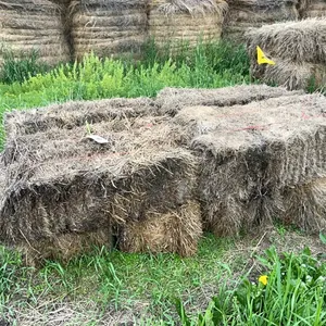 8 - SQ BALES OF 2025 CROP/GRASS MIX