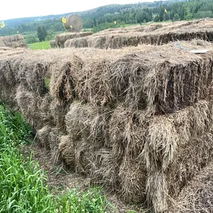 27 - SQ BALES OF 2025 CROP/GRASS MIX