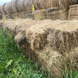 30 - SQ BALES OF 2025 CROP/GRASS MIX