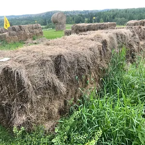 27 - SQ BALES OF 2025 CROP/GRASS MIX