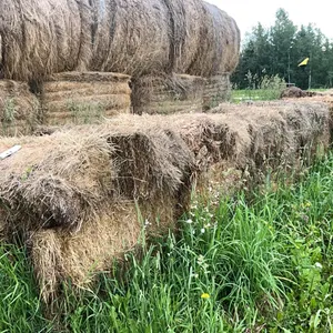 28 - SQ BALES OF 2025 CROP/GRASS MIX
