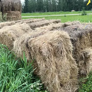 26 - SQ BALES OF 2025 CROP/GRASS MIX