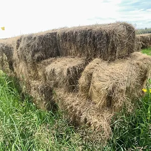 30 - SQ BALES OF 2025 CROP/GRASS MIX