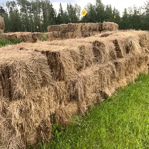 29 - SQ BALES OF 2025 CROP/GRASS MIX