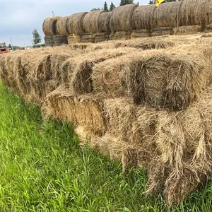 29 - SQ BALES OF 2025 CROP/GRASS MIX