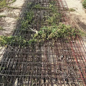 6 Cattle Panels