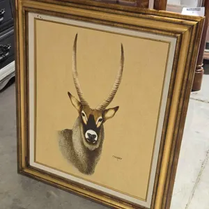 FRAMED ANTELOPE BY COOPER - FRAMED