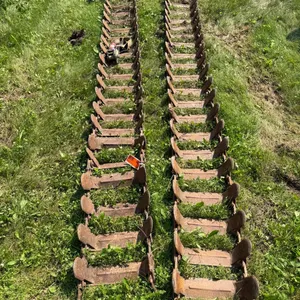 (2) 15" x 15'7" Skid Tracks