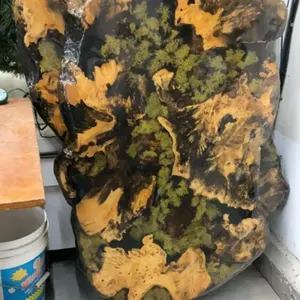TABLE TOP LIVE EDGE WOOD SLAB, EPOXY TOP W/ SOME FERN DETAILING UNDERNEATH