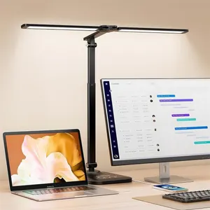$45 Double Head LED Desk Lamp