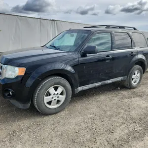 2010  Ford  Escape