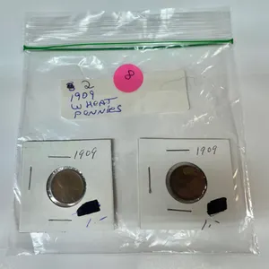 1909 Wheat Pennies in Protective Sleeves