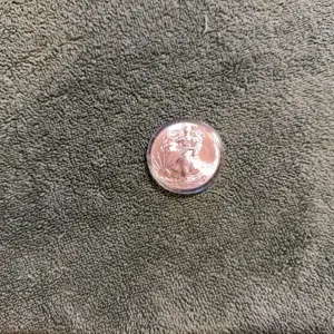 2013 American Eagle silver dollar