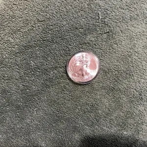 2013 Silver American Eagle dollar