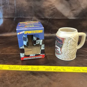 NASCAR stein