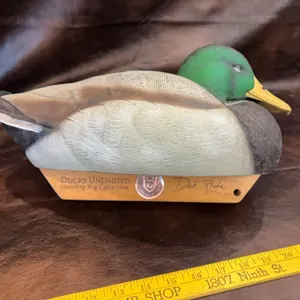Duck decoy