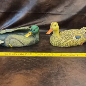 Duck decoy