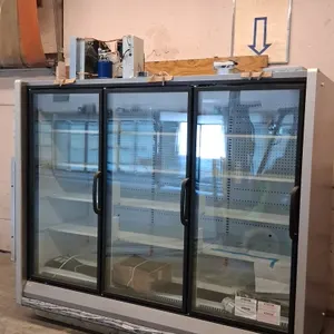 2025 Hussmann RFL3 3-door glass door frozen food display case. Features adjustable shelving and reach-in low-temperature design. Includes top-mounted 