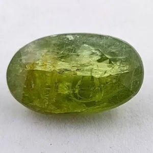 16.16ct Natural Untreated Himalayan Peridot Oval Cut Gemstone