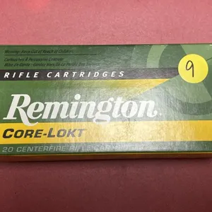 Remington 30-30 Win Ammo