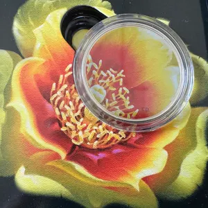 2013 Cdn $.25 - Pear Cactus Coin