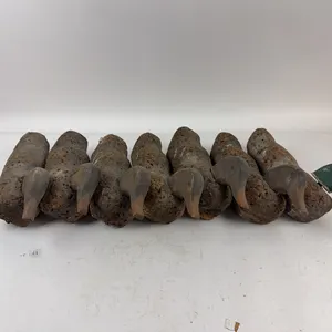 Oscar Quam Cork Decoys