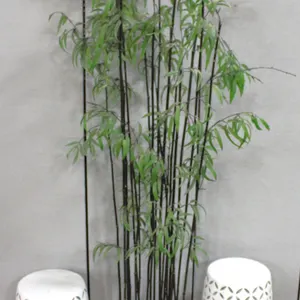 Two Metal Stools and Faux Bamboo Plant