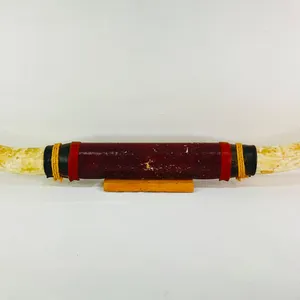 Mounted Steer Bull Cattle Horns