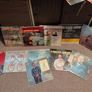 10 Vintage Country and Easy Listening Vinyl LP Records