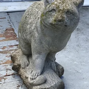 Concrete Raccoon