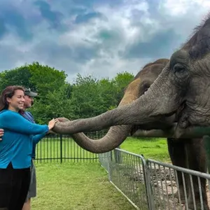 Breakfast with the Elephants Getaway Experience