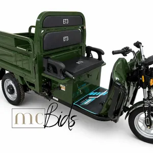 Unused Green 3-Wheel Electric Tricycle Model ET13