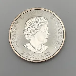 Canadian $2 Polar Bear Silver Round