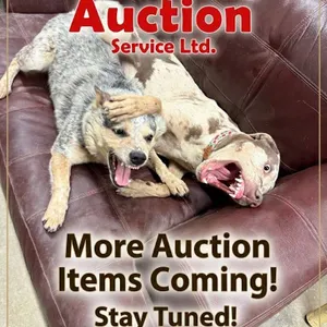 Off-Site Equipment/Acreage Items Auction - Grunthal - July 27 - Concrete Equip, Fork Lifts and More!