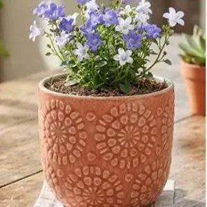 Stone & Beam Floral Embossed Planter Small