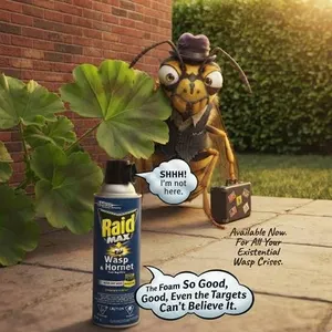 Raid Max Wasp & Hornet Insecticide, 2x 500g,