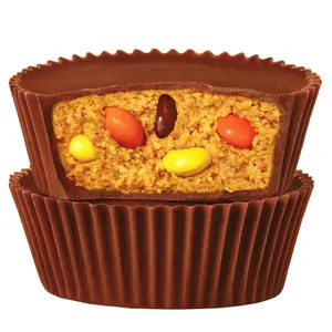 Lot of 8 Packs Reese's Big Cup Reese's Pieces 79g
