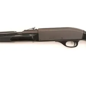 Remington Nylon 66 .22 LR