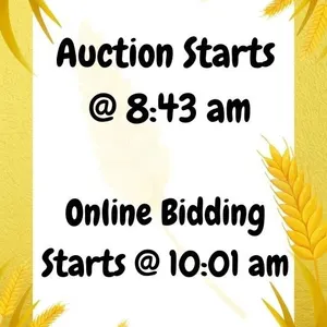 Info