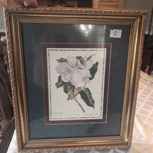 Magnolia framed picture 17x20