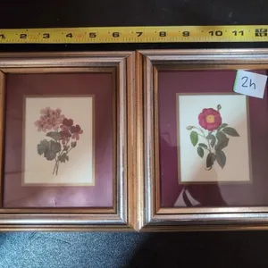 2 floral pictures