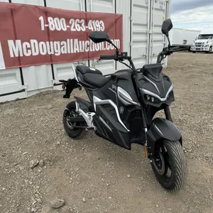2023 Gio G2000 Electric Motorcycle
 UNRESERVED