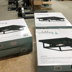 (3) Ceiling Light Fixtures
 UNRESERVED