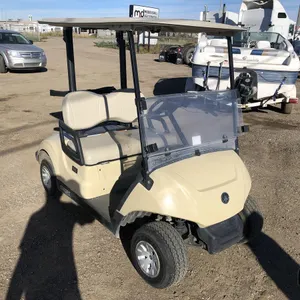 2017 Yamaha Drive 2 DR2E17 48V Electric Golf Cart
 UNRESERVED
