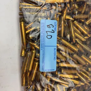 .556 Brass