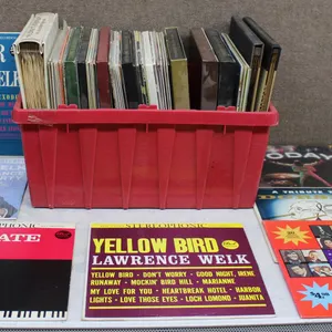 40+ Vinyl Records Assorted