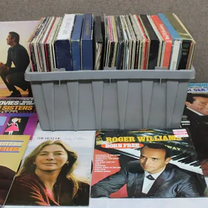 40+ Vinyl Records with Storage
