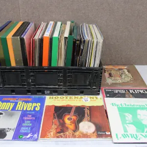 40+ Assorted Vinyl Records