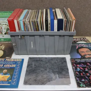 40+ Assorted Vinyl Records