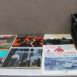 40+ Vinyl LP Records Various